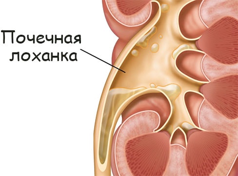 Кракен даркнет только через тор скачать